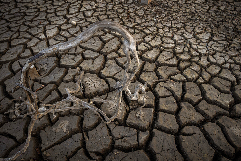 UN Climate Report